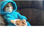 Cookie Killer Squad