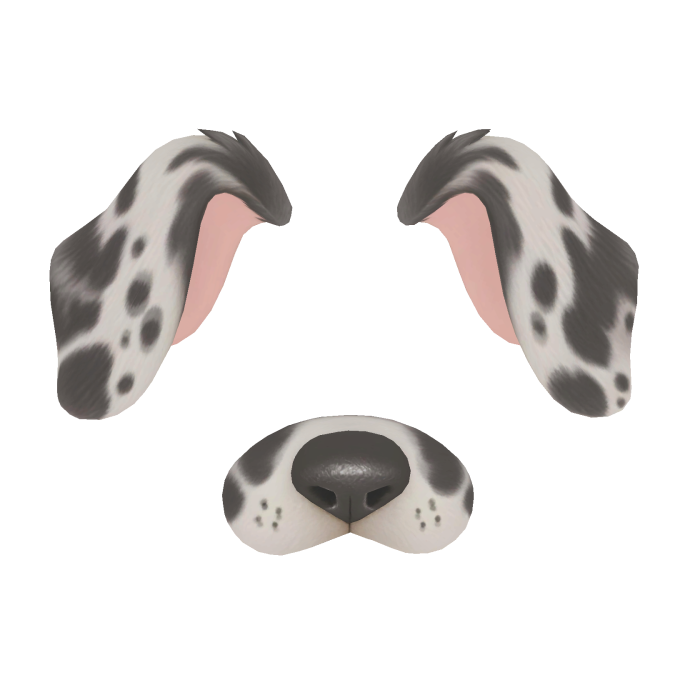 Puppy Filter