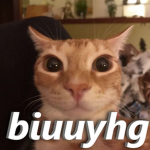 biuuyhg