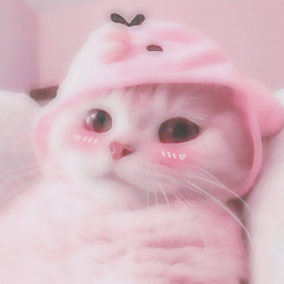 ◡ ིྀ ︶ ̩͙⏝🎁⏝ ̩͙︶ ིྀ◡