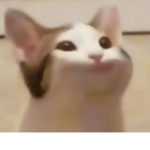 Pop cat anime gang
