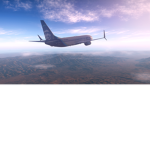 Fly Exotic