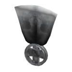 Knight Medal Of The GREAT TEAPOT