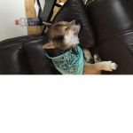 trenthub