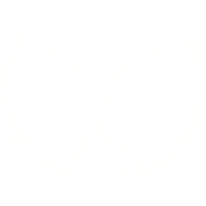 Big Emissive Glow Celestial Vanguard Angel Wings