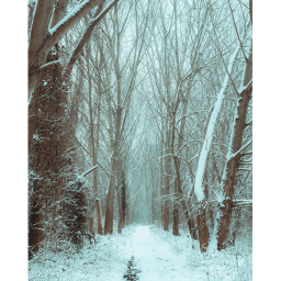 SpiritClan Territory