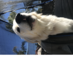 OOOOOOOOOOOOOOT