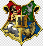 {Harry Potter Fan Group }