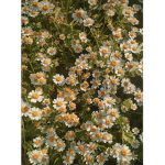. flower. and .twigs .
