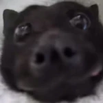 Scrubs Club Group Thumbnail