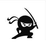 The True Ninjas Of The Streets