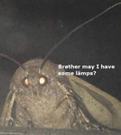 moth complex