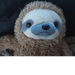 SLOTH PRO