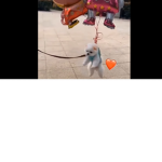 Robux para cata :D