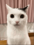Sasti