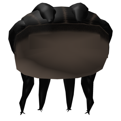 Quad Braids Roblox item
