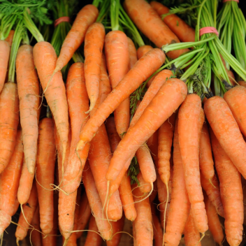 Carrots