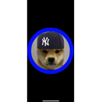 Doggy Gang Offical