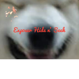 Exposers hide and seek
