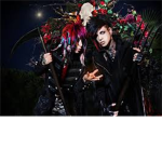 botdf lovers