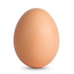 the eggshell consumer crew
