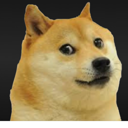THE STORY OF DOGE