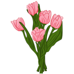 Tulip squad