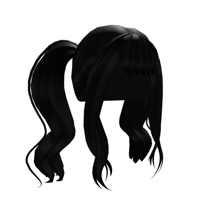 Black Long Ponytail Hair