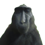 TSO Developer Core