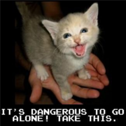 More funny kittys Roblox decal