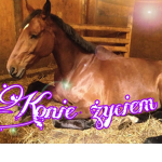 Konie życiem