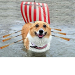 Boat-Corgo! Group Thumbnail