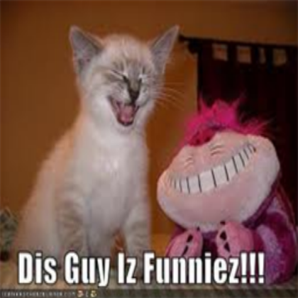 This is funny! Roblox decal