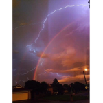 Survivor The Futuristic Disasters Fan Club