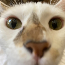luuuuuuuuuuucy