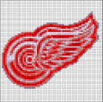 Detroit Red Wings Hockey Team