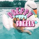 ʚ preppy angels ɞ