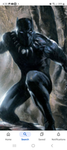 Black panther group real