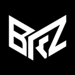 Brz INC