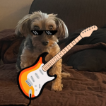 The MrSteal Laboratory