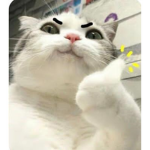 Kawaii .: