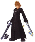 organizationn XIII