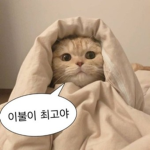 요맘때 그룹