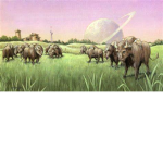 Planetary Security of Rhamalai