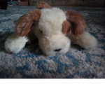 Cute Puppy pie