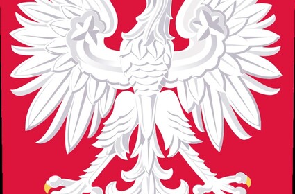 Polish Army Traning