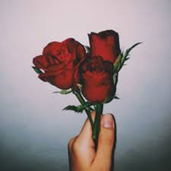 Chey's /// f3x build