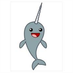 The Narwhal Company