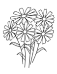 flower flyers