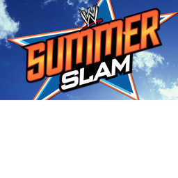 WWE SUMMER SLAM!